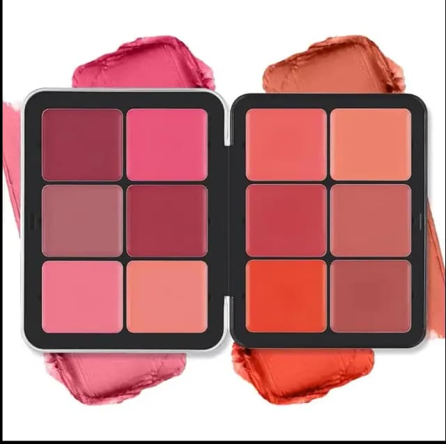 12 Colour Ultra HD INVISIBLE COVER CREAM BLUSH PLATE