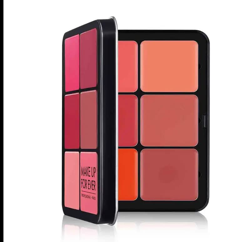 12 Colour Ultra HD INVISIBLE COVER CREAM BLUSH PLATE